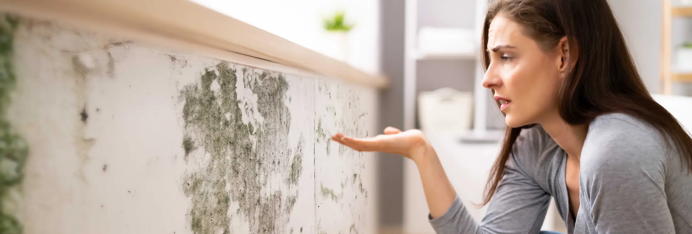 Fallrohrsanierung Österreich Fallrohrsanierung Österreich